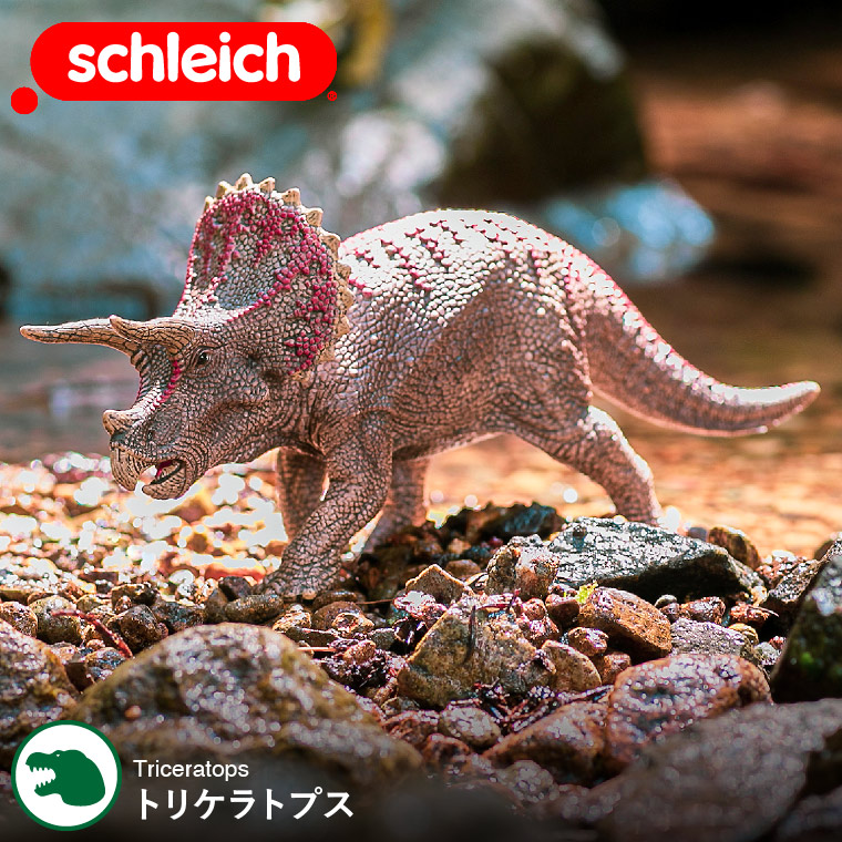 シュライヒ Schleich 15000 トリケラトプス Dinosaurs |『内祝い